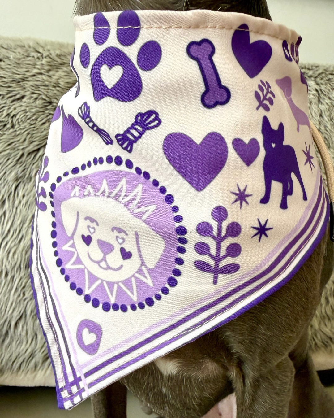 Pañoleta mascotas!