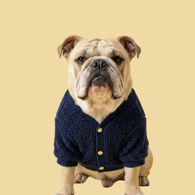 Cardigan azul