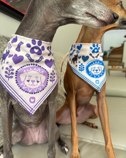 Pañoleta mascotas!