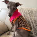 Chaleco animal print fucsia
