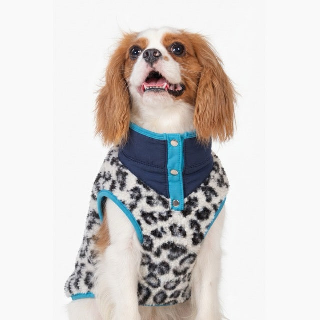 Chaleco animal print azul