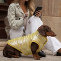 Chaleco amarillo